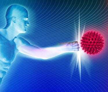 PROH1LEUC FACTOR DE TRANSFERENCIA PROH1LEUC